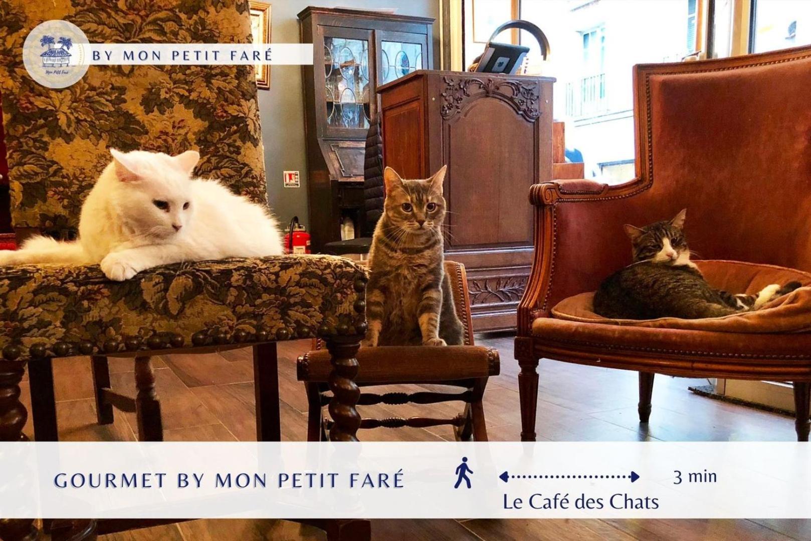 Le Perchoir - & Lumineux - Bastille Appartement *
